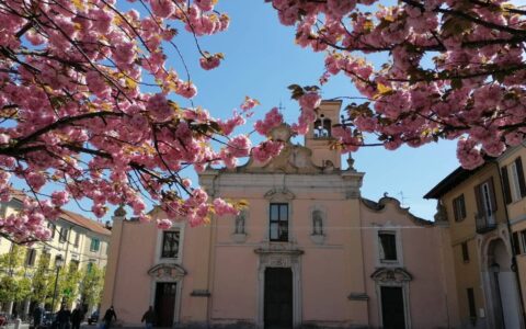 import-611075.edi_full